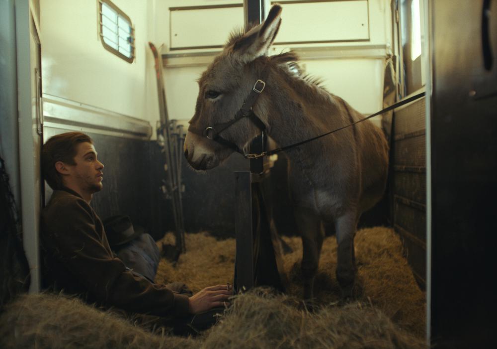 This image released by Sideshow and Janus Films shows Lorenzo Zurzolo in a scene from EO Sideshow and Janus Films via AP