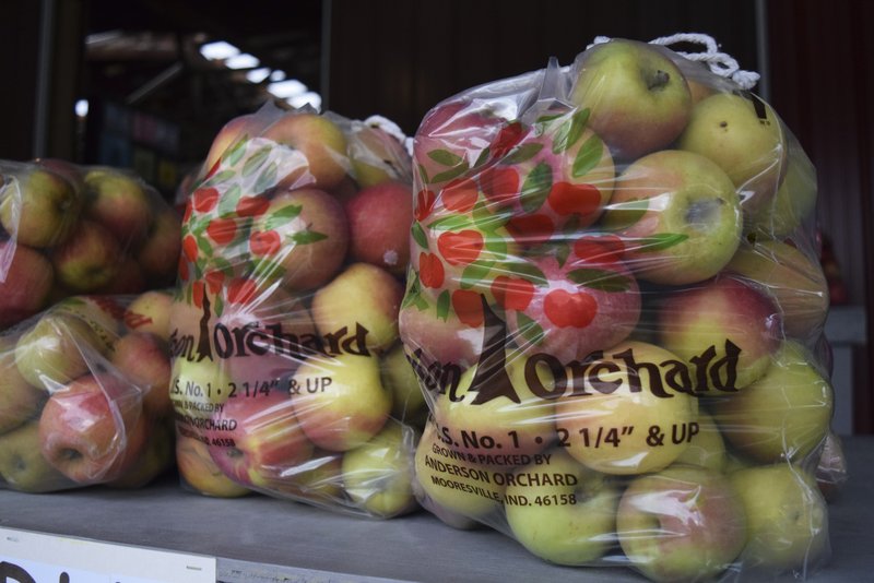 Freezing Apples / Freezing Apples Plenty Sweet Life : Find out how best to freeze apples for use in crumbles and smoothies.