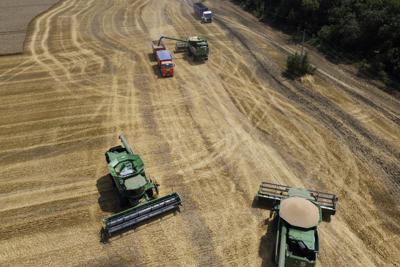 ARCHIVO - Los agricultores cosechan con sus cosechadoras en un campo de trigo cerca de la aldea Tbilisskaya, Rusia, 21 de julio de 2021. Los tanques y misiles rusos que asedian Ucrania también están amenazando el suministro de alimentos y los medios de vida de las personas en Europa, África y Asia que dependen de las vastas y fértiles tierras de cultivo conocidas como el "granero del mundo". Rusia y Ucrania se combinan para aproximadamente un tercio de las exportaciones mundiales de trigo y cebada y proporcionan grandes cantidades de maíz y aceites de cocina. (AP Photo/Vitaly Timkiv, Archivo)