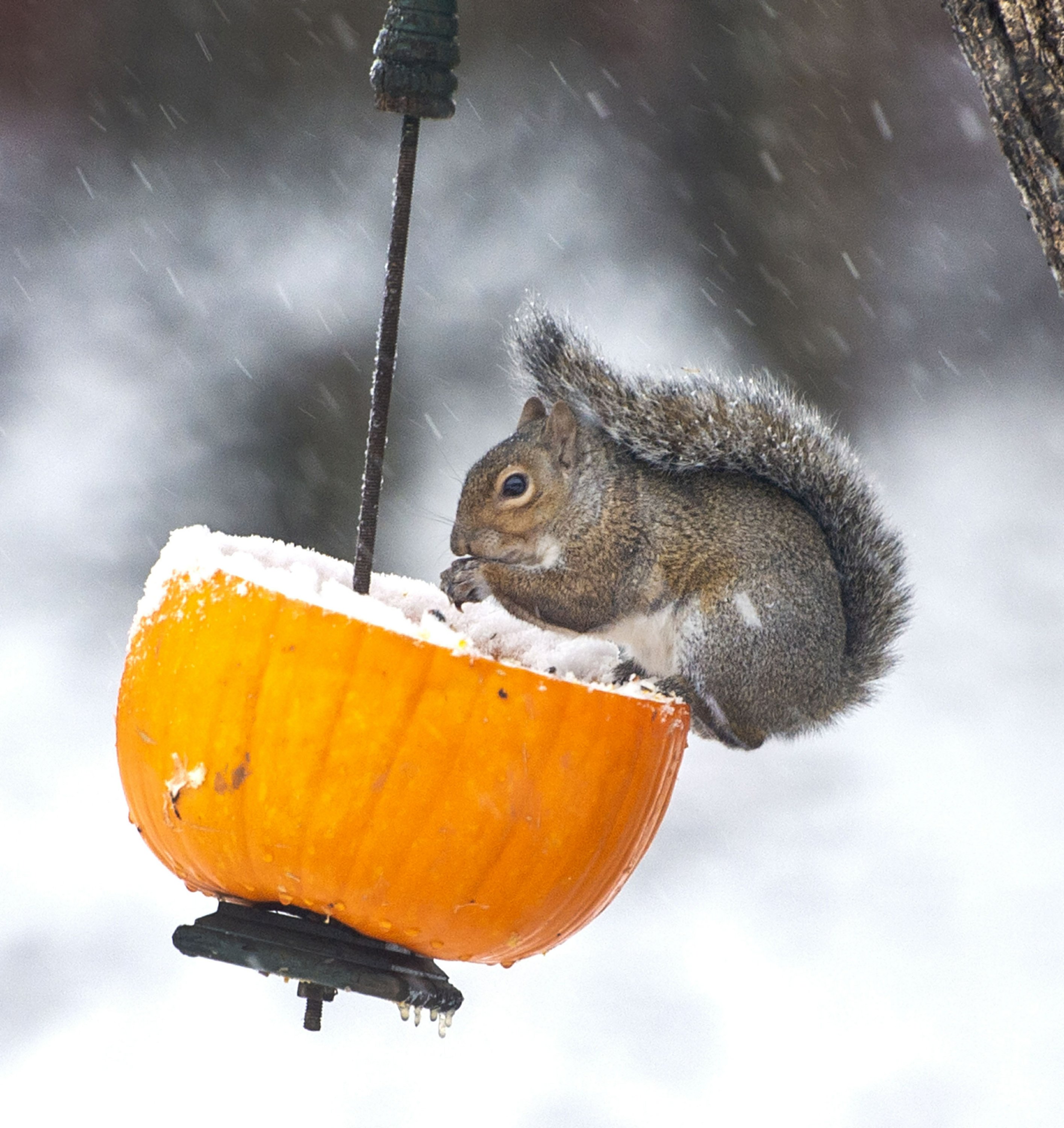 Record Cold Follows Early Snowstorm Over Much Of Eastern Us