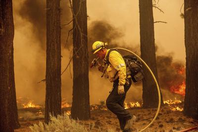 Un bombero combate el incendio Caldor junto a la autopista 89, el martes 31 de agosto de 2021 cerca de South Lake Tahoe, California. (AP Foto/Noah Berger)