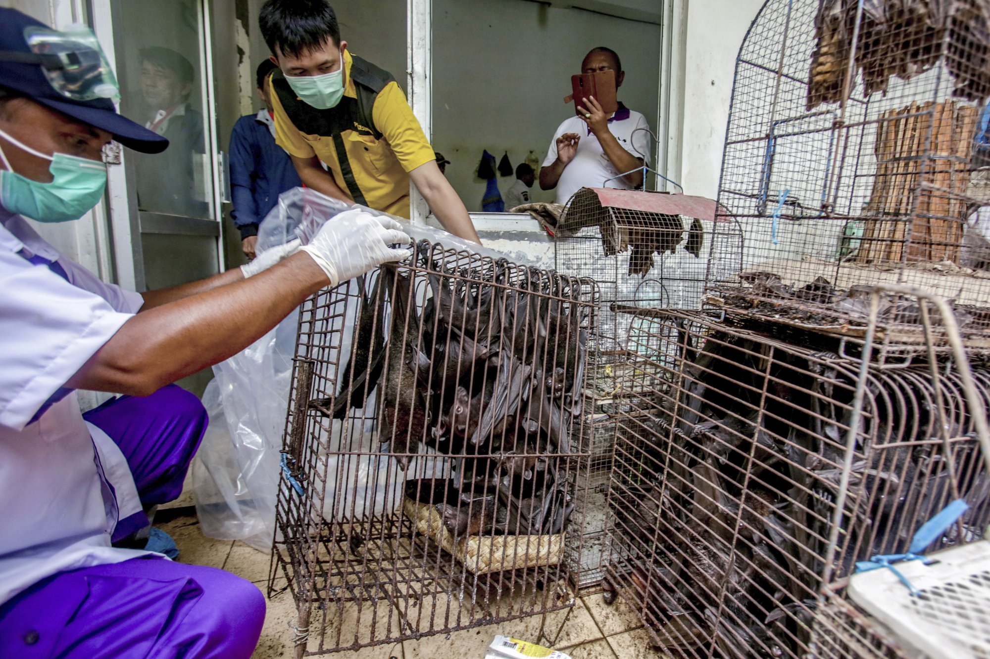 UN: Live animal markets shouldn't be closed despite virus | AP News UN: Live animal markets shouldn't be closed despite virus | AP News
