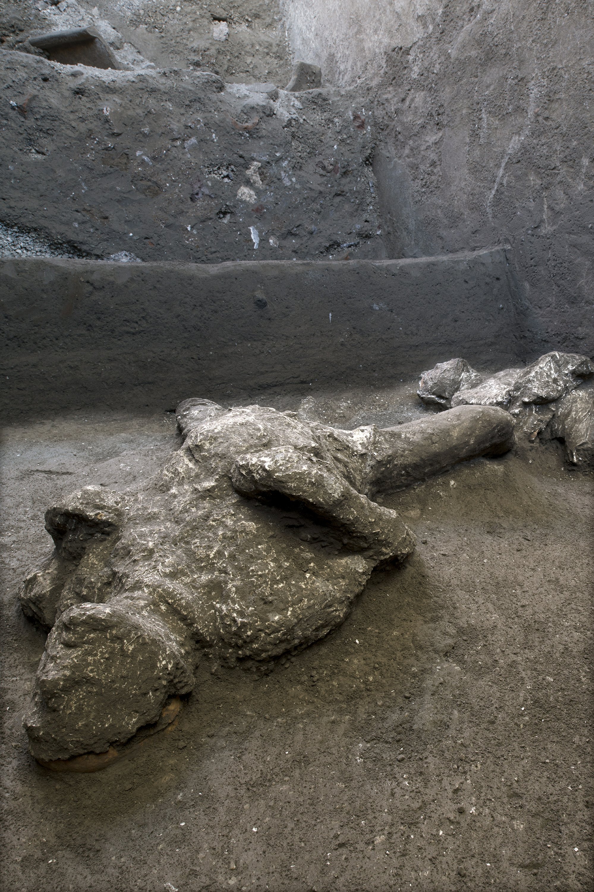 mount vesuvius bodies kissing