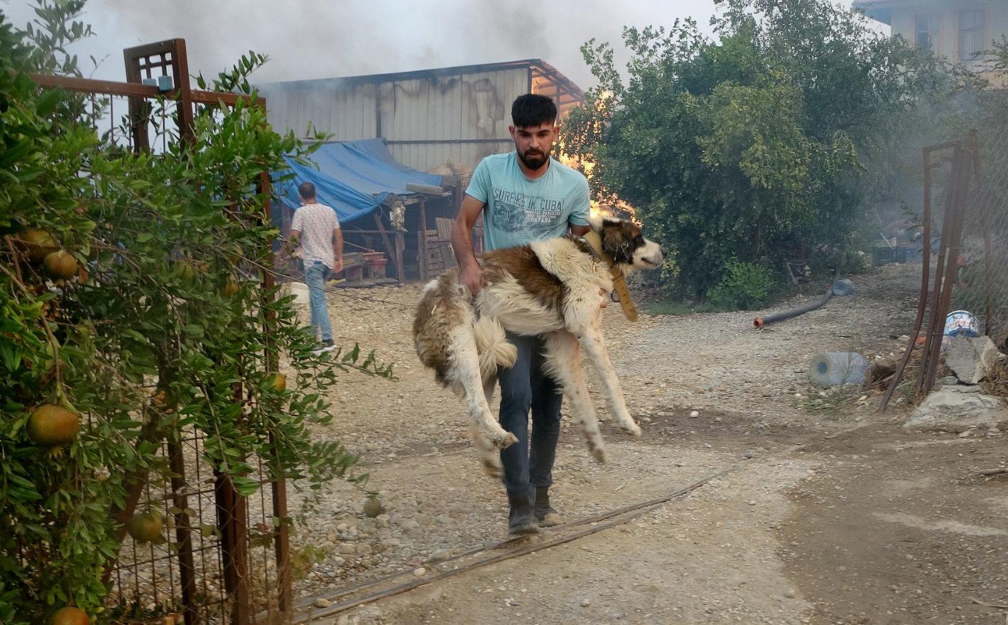 Wildfires in southern Turkey leave 3 dead, 58 hospitalized