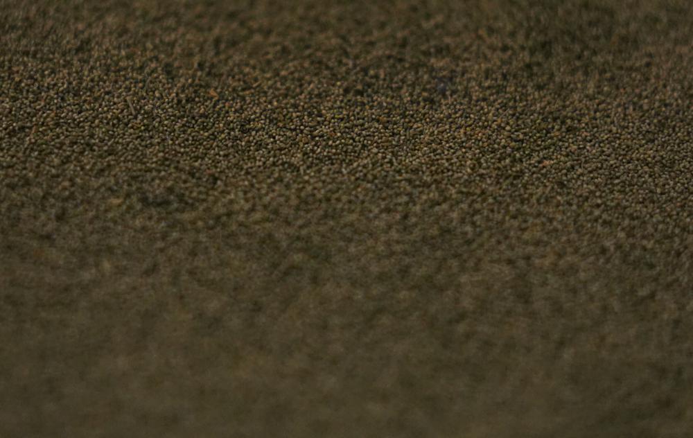 Ahuautle, conocido como caviar mexicano, se ve en un restaurante especializado en platos prehispánicos en Iztapalapa, cerca de Ciudad de México, el miércoles 14 de septiembre de 2022. El ahuautle fue en el pasado un alimento importante para la gente del Valle de México. (AP Foto/Fernando Llano)
