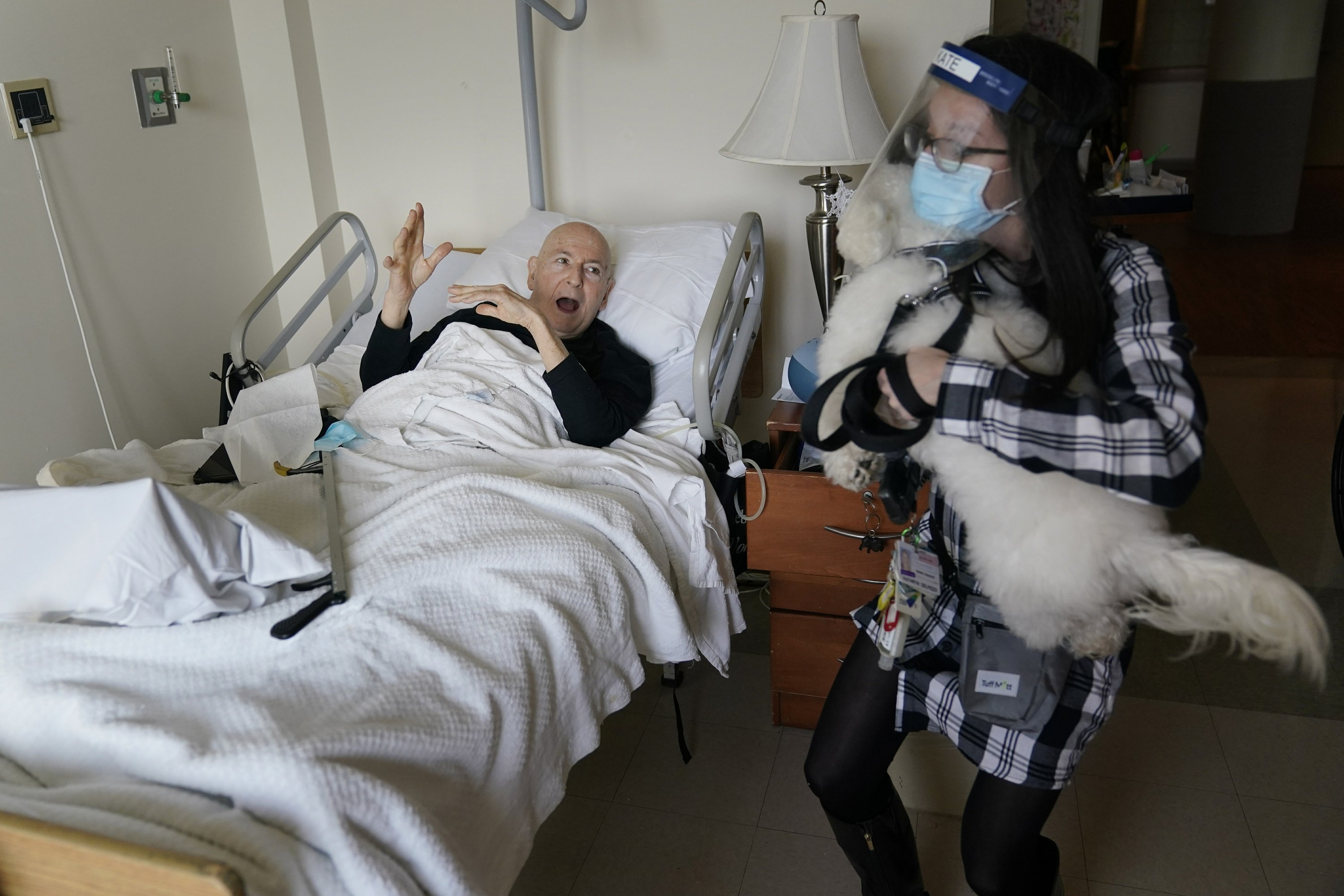 Dogs make it easier to isolate the pandemic for nursing home residents