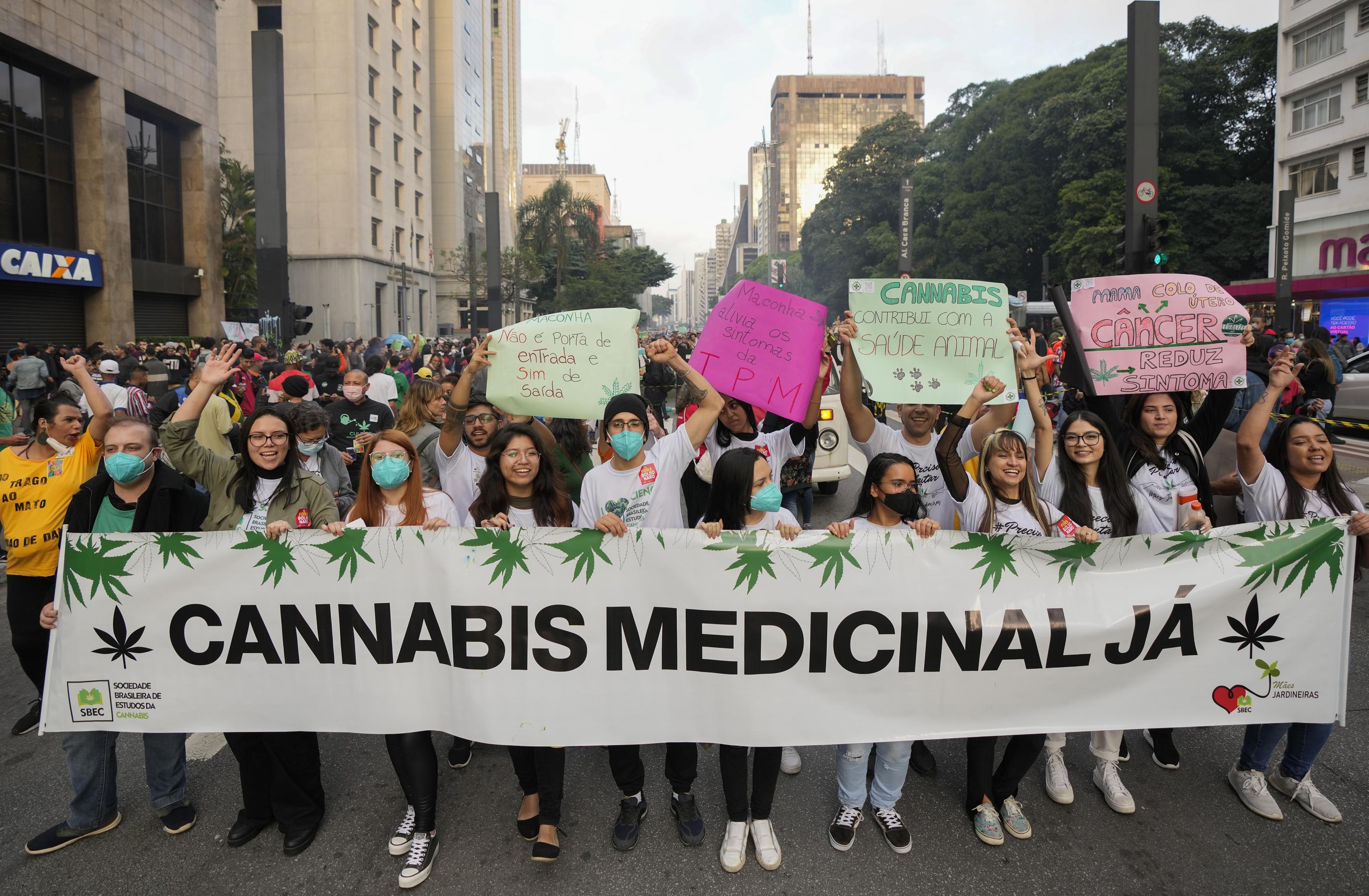 Tribunal brasileño aprueba cannabis cultivado en casa para uso médico