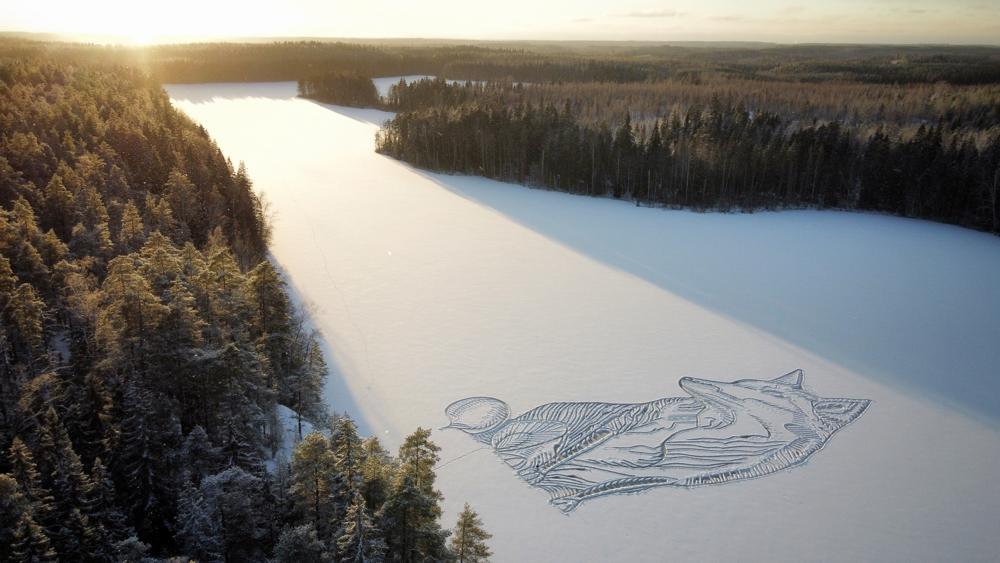 A drawing of a fox is seen on the frozen Pitkajarvi lake north of Helsinki, Finland, Saturday, Dec. 4, 2021. An architect-designer in southern Finland has returned to a frozen lake with a snow shovel to draw a large animal on the ice for the sixth year in a row to create a short-lived artwork that he hopes will "make people happy and encourage them to go out to hike in a beautiful nature.” The size of the figure on the ice is about 90 meters (295.3 feet) from edge to edge.  (Pasi Widgren via AP)