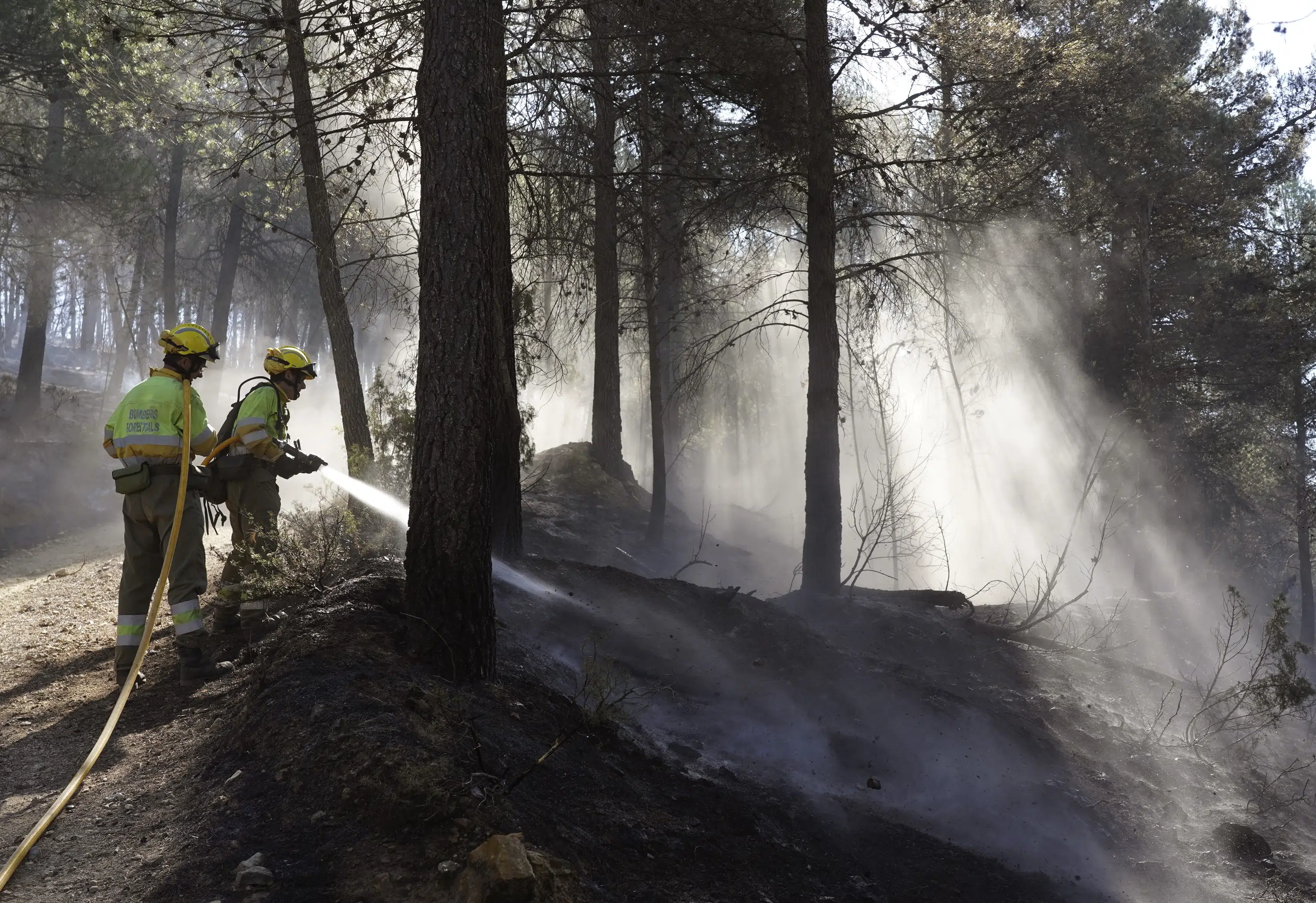 Com calor recorde e florestas atingidas pela seca, a Catalunha da Espanha tem um clima ideal para incêndios florestais