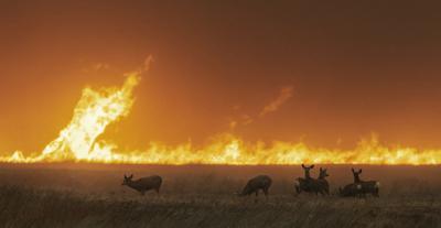 Kansas Forest Service revises acreage burned in wildfires | AP News Kansas Forest Service revises acreage burned in wildfires | AP News