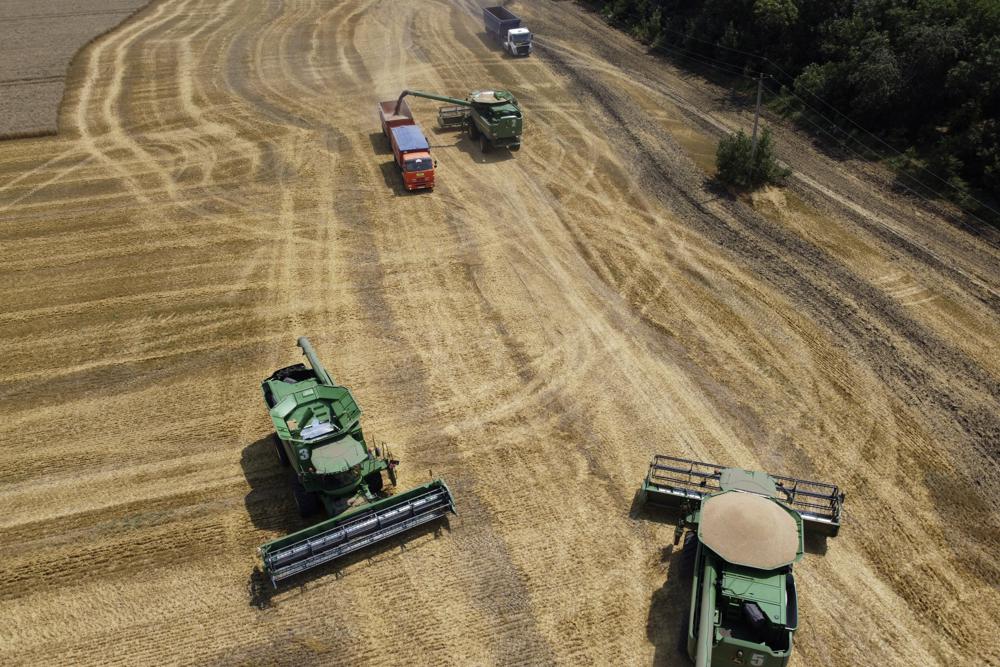 FILE - Farmers harvest with their combines in a wheat field near the village Tbilisskaya, Russia, July 21, 2021. The Organization for Economic Cooperation and Development is warning that Russia's war in Ukraine will disrupt commerce and clog up supply chains, slashing economic growth and pushing prices sharply higher around the globe. In a grim assessment out Thursday, March 17, 2022, the 38-country OECD said that over the next year the conflict would reduce the broadest measure of economic output by 1.08% worldwide. (AP Photo/Vitaly Timkiv, File)