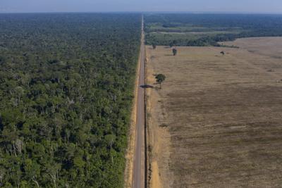 En esta imagen del 25 de noviembre de 2019 se ve la ruta BR-163 entre el Bosque Nacional de Tapajos, izquierda, y un campo de soya en Belterra, estado de Pará, Brasil. (AP Foto/Leo Correa, Archivo)