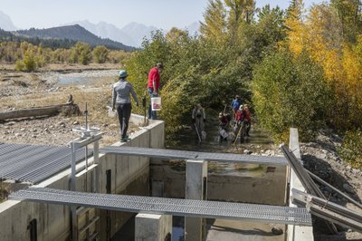 native game fish to wyoming