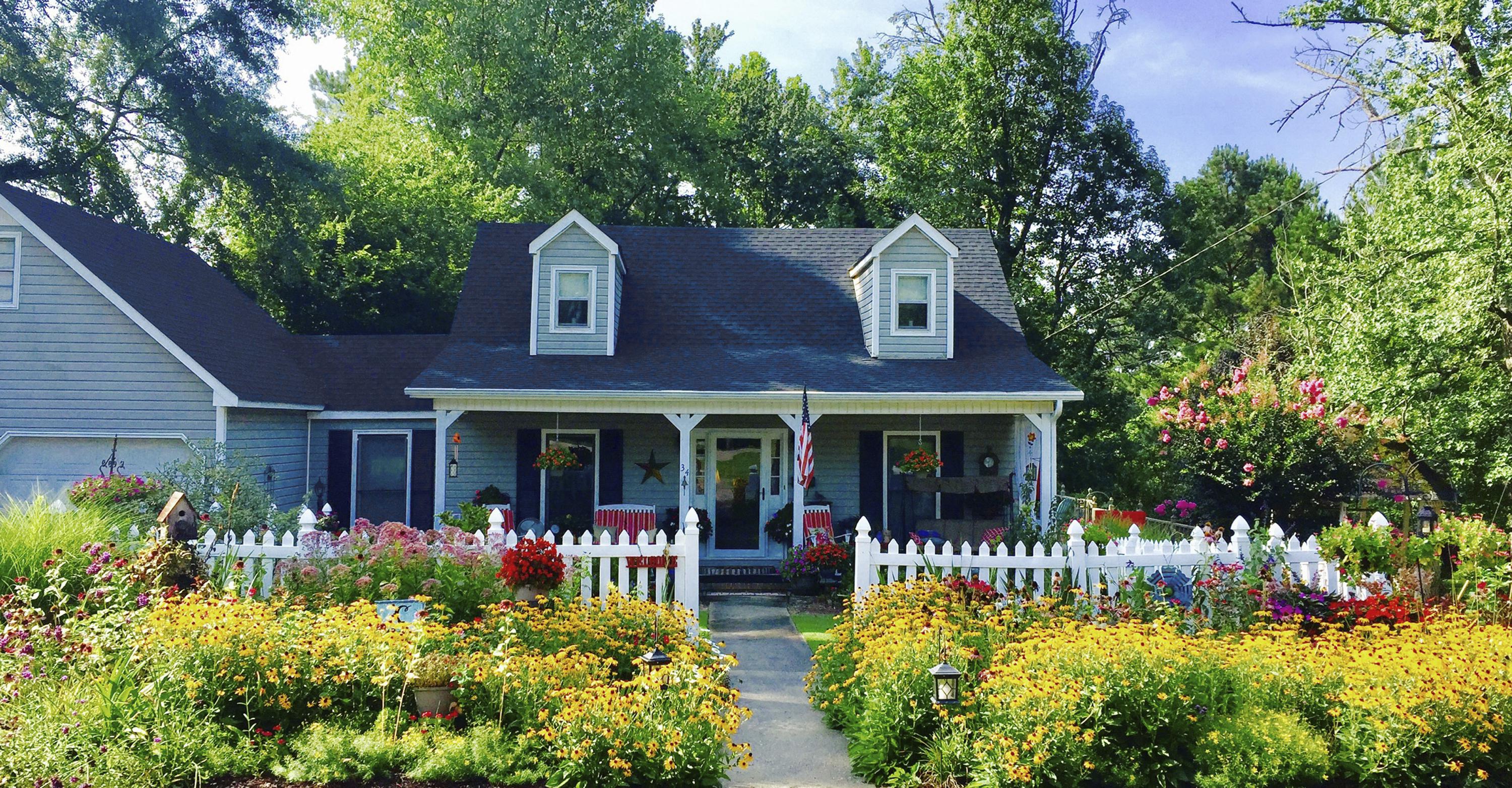 A Wildflower Garden In Your Backyard