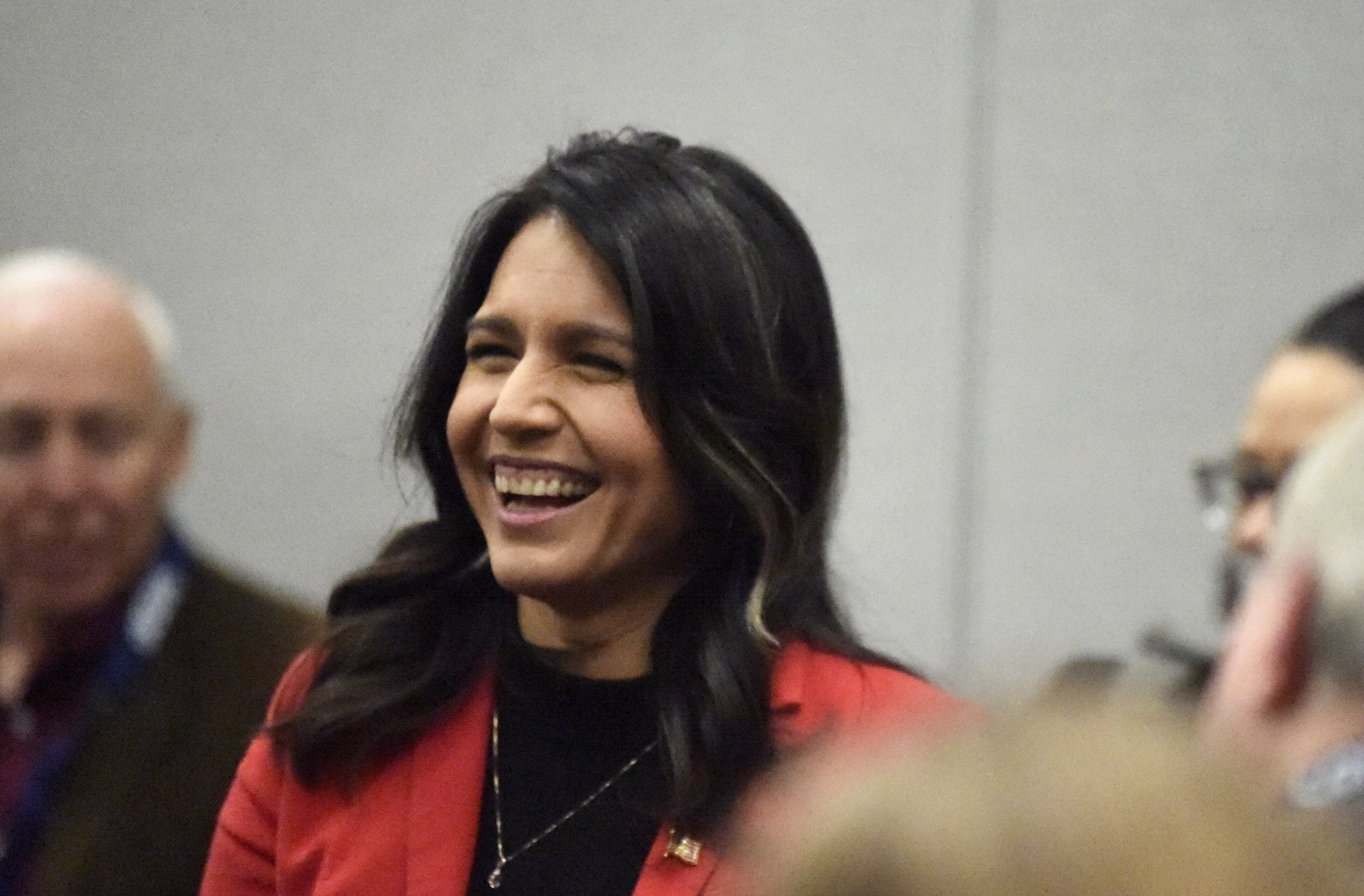 24+ tulsi gabbard grey hair