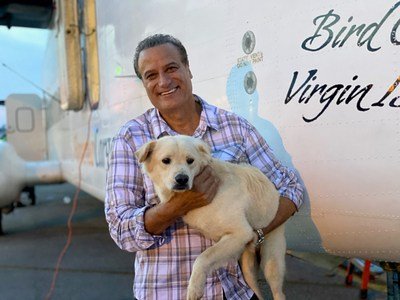 feel good dog stories