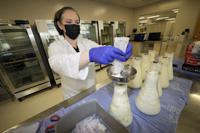 Rebecca Heinrich, director of the Mothers' Milk Bank, loads frozen milk donated by lactating mothers from plastic bags into bottles for distribution to babies Friday, May 13, 2022, at the foundation's headquarters in Arvada, Colo. (AP Photo/David Zalubowski)