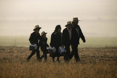 Un adulto de la comunidad amish acompaña a varios menores a la escuela el 2 de abril del 2007 en Nickel Mines, Pensilvania, donde cinco meses antes un individuo había matado a cinco niños amish y herido a otros cinco. Los amish perdonaron al asesino y ayudaron a su viuda, siguiendo viejas enseñanzas de su fe. (AP Photo/Matt Rourke)