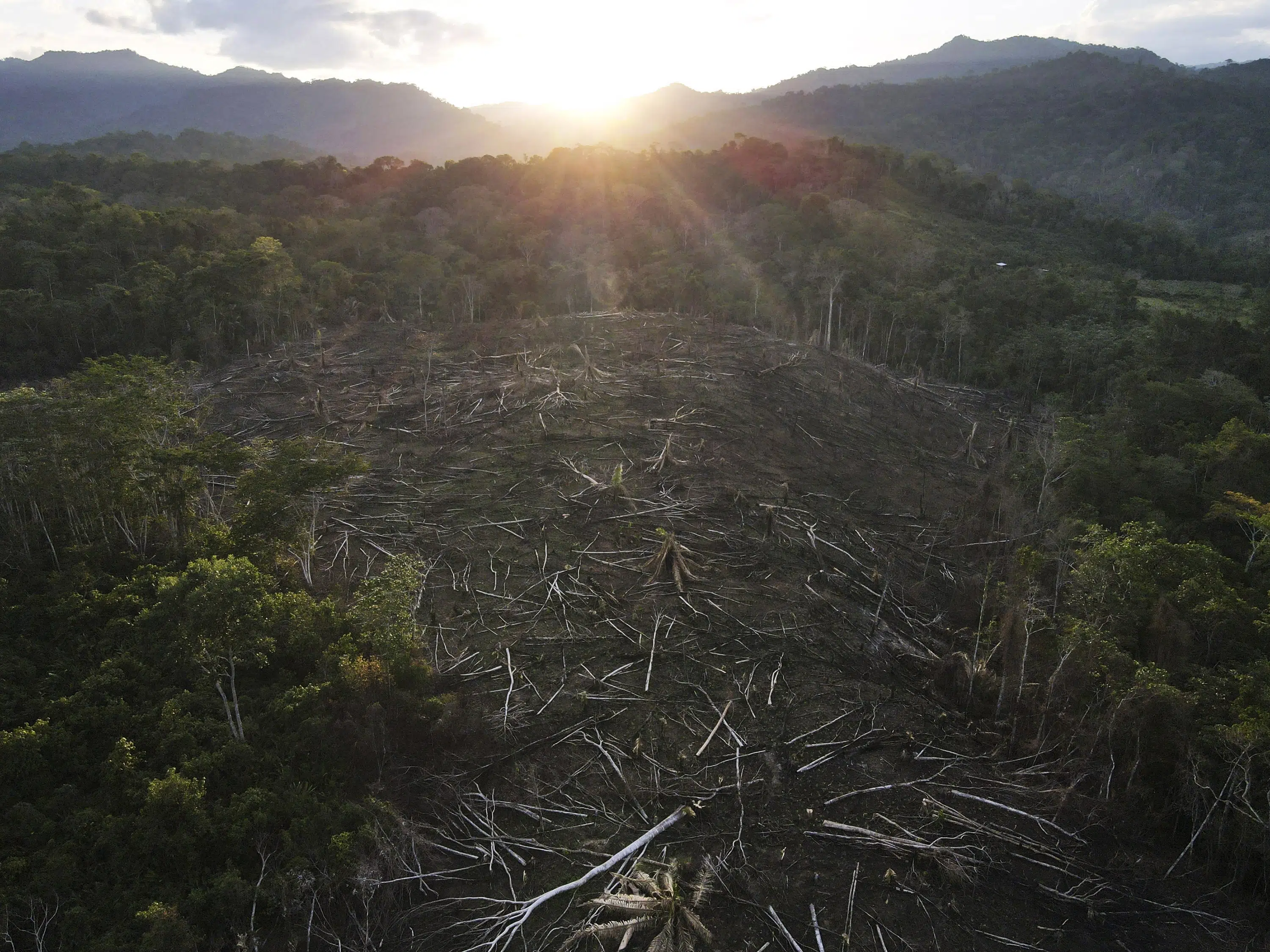 Watch ‘Gone wrong’: Doubts on carbon-credit program in Peru forest – US Latest News