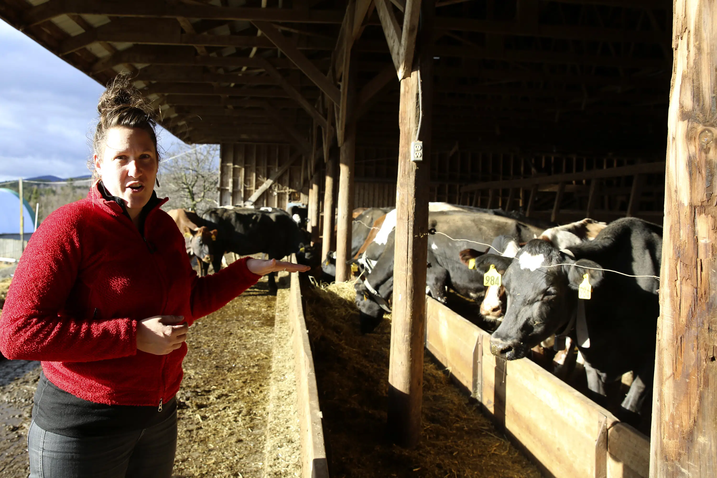 Organic livestock farmers, hit by rising prices, seek help