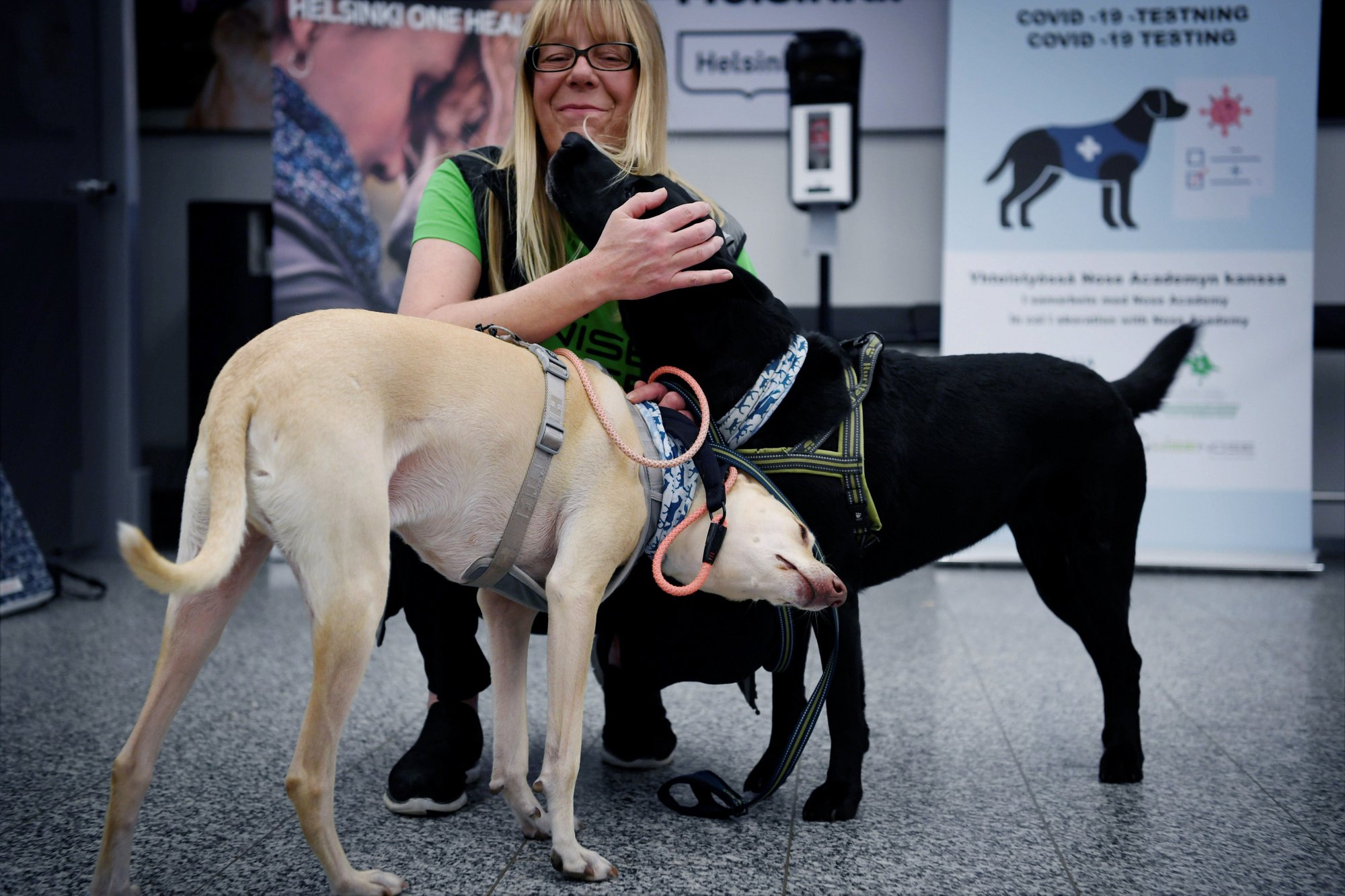 what are airport dogs sniffing for