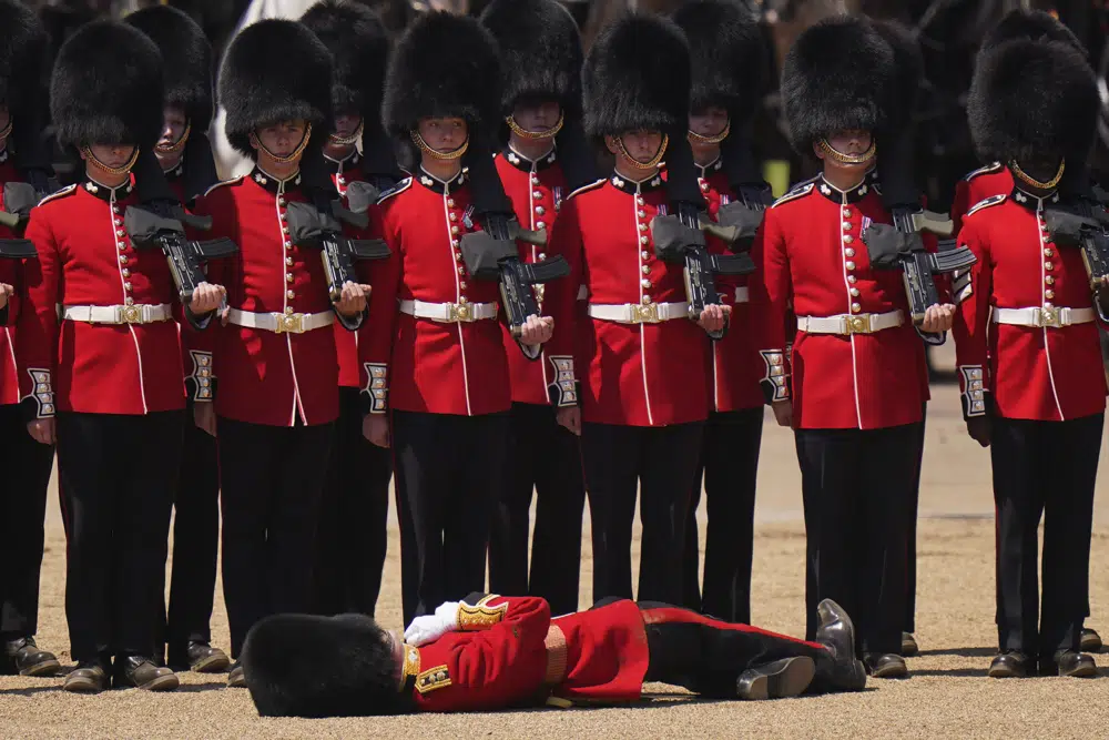 An officer of the Welsh Guards faints in hot weather during the Colonel's Review, the final rehearsal of the Trooping the Colour, the King's annual birthday parade, at Horse Guards Parade in London, Saturday, June 10, 2023. (AP Photo/Alberto Pezzali)