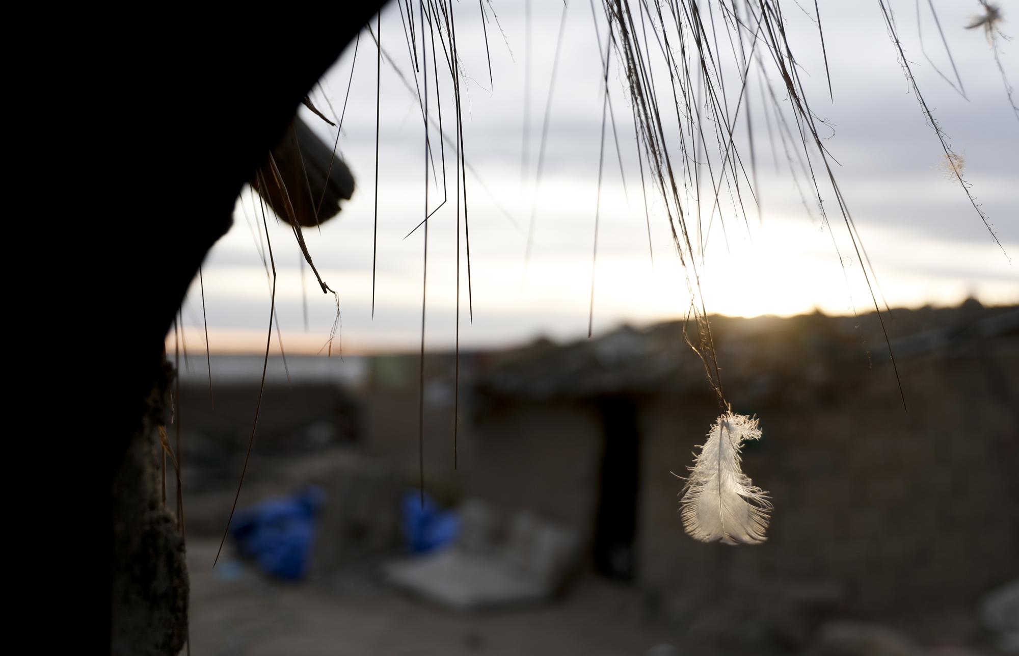 A feather is caught in a blade of straw in the entrance of a home in the Urus del Lago Poopo Indigenous community, in Punaca, Bolivia, Sunday, May 23, 2021. To save their identities, the Uru communities are trying to revive their native language — or at least its closest sibling. The last native speakers gradually died and younger generations grew up schooled in Spanish and working in other, more common Indigenous languages, Aymara and Quechua.
(AP Photo/Juan Karita)