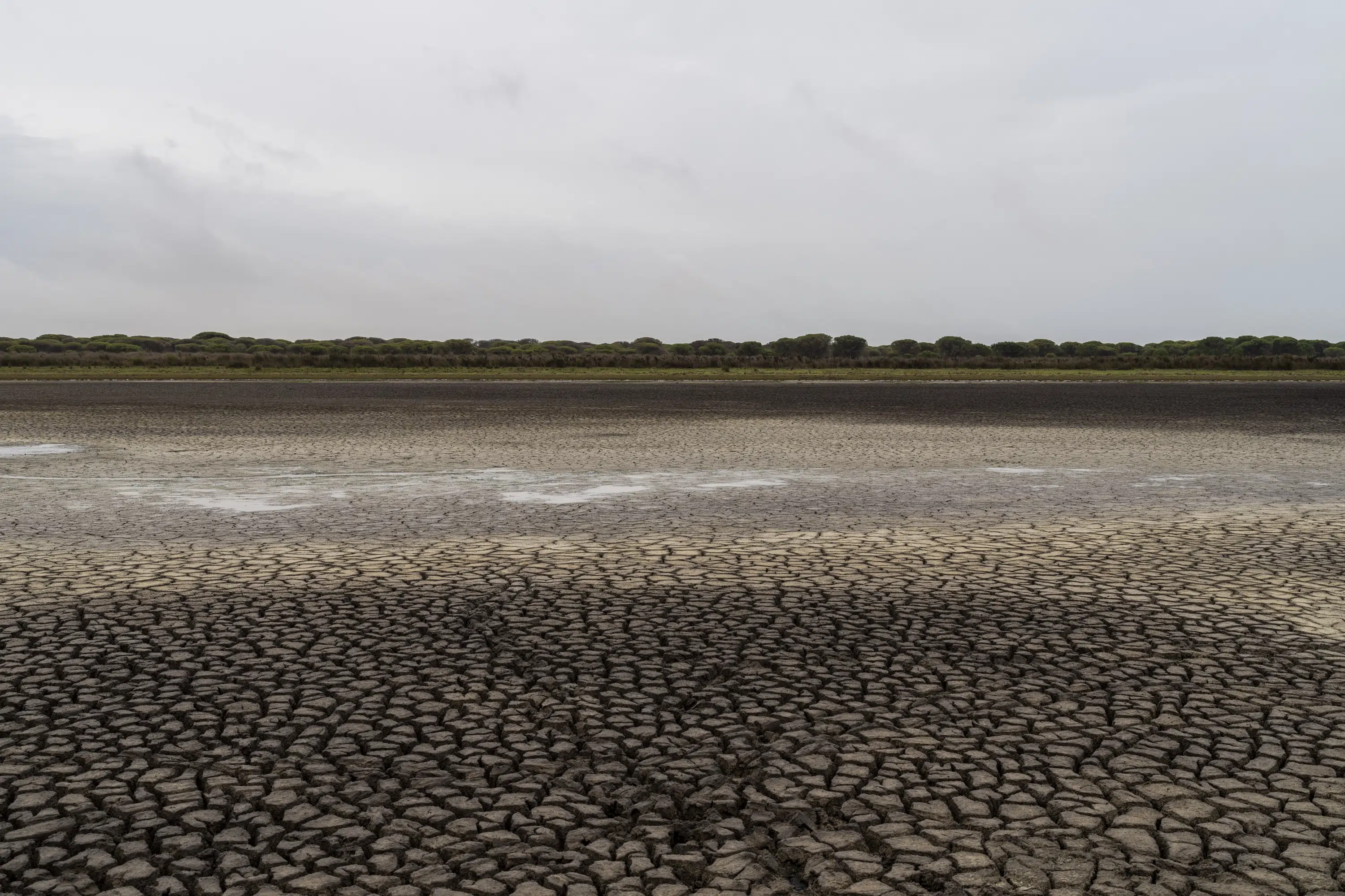 Andalucía considera la mayor parte del regadío cerca de los humedales españoles