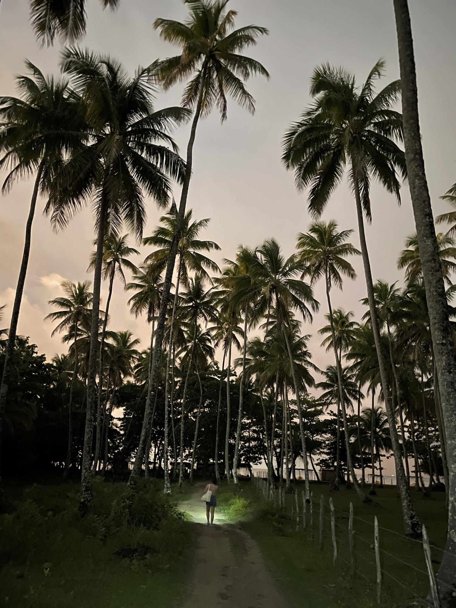 A woman illuminates her path with a flashlight as she walks under coconut trees at dusk in Boipeba Island, Brazil, in this Friday, June 10, 2022 - iPhone photo . (Photo: Felipe Dana/AP)