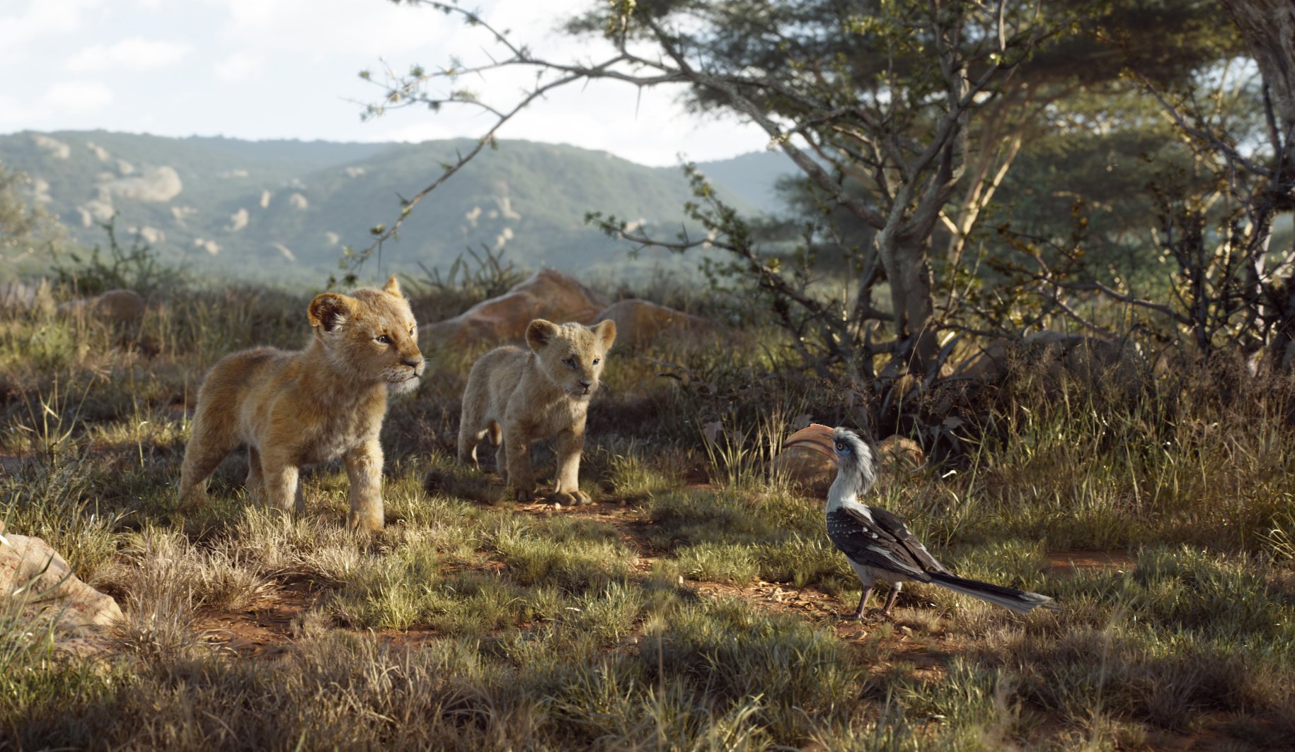 Review Lion King Returns But It S Harder To Feel The Love Ap News