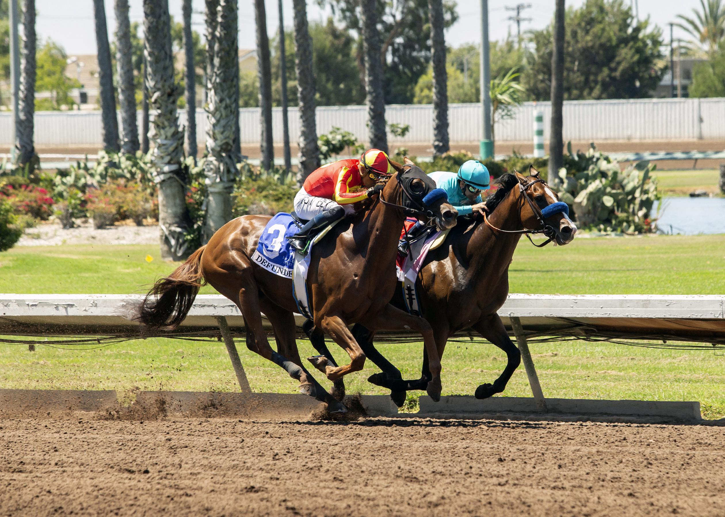 Bob Baffert horses go 1-2 in Los Alamitos Derby - Vimarsana News
