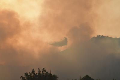 Una aeronave arroja agua durante un incendio forestal en la antigua Olimpia, en el oeste de Grecia, el jueves 5 de agosto de 2021. (Giannis Spyrounis/ilialive.gr via AP)