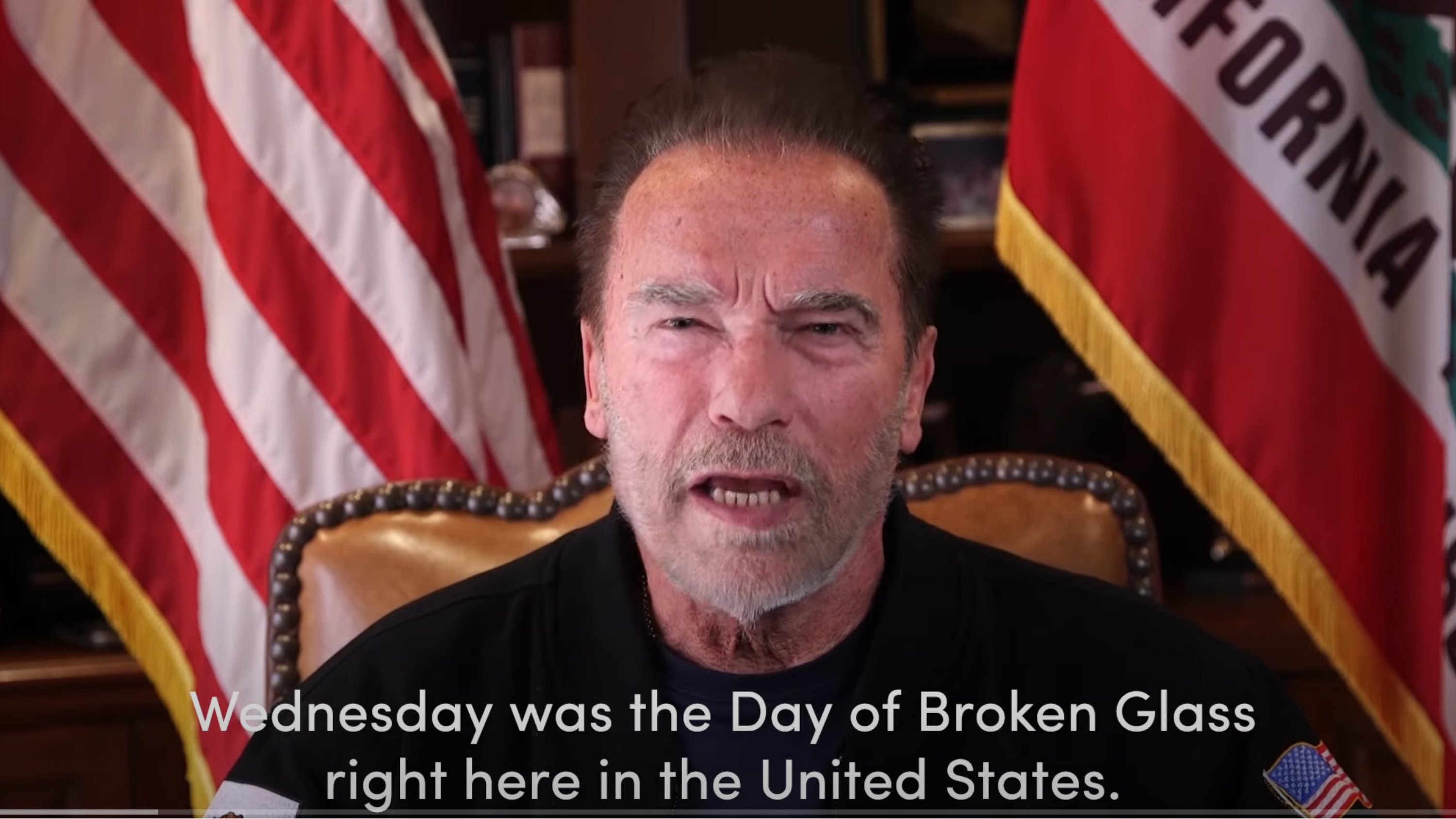 Arnold Schwarzenegger compares the US Chapter mafia to the Nazis