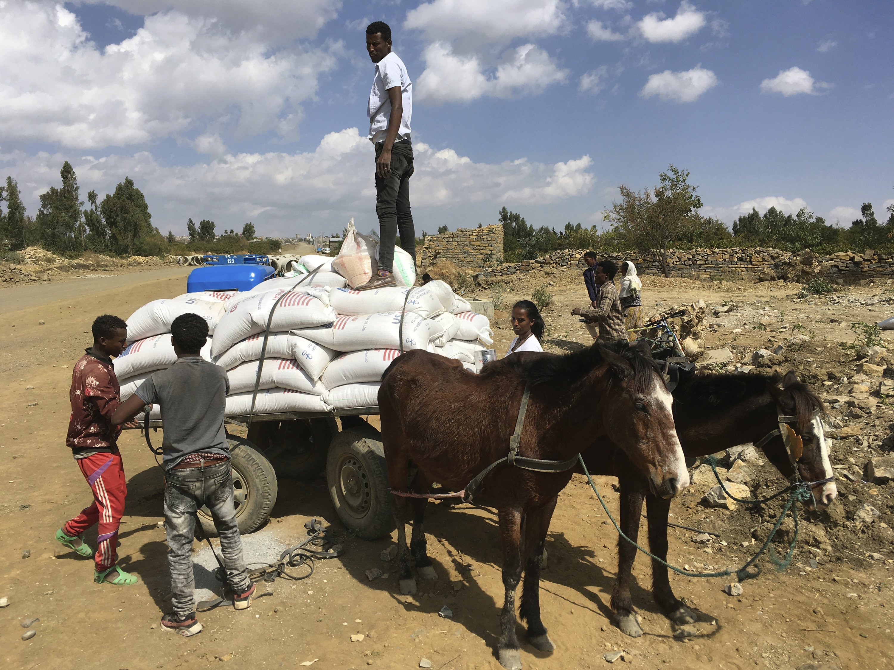 ‘Extreme urgent need’: famine haunts Ethiopian Tigray