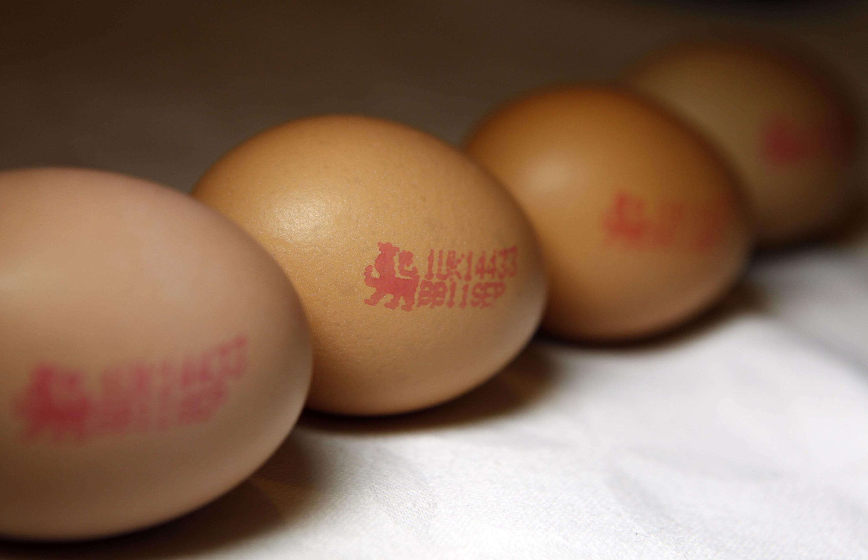 Salmonella vaccine may help prevent egg recalls AP News