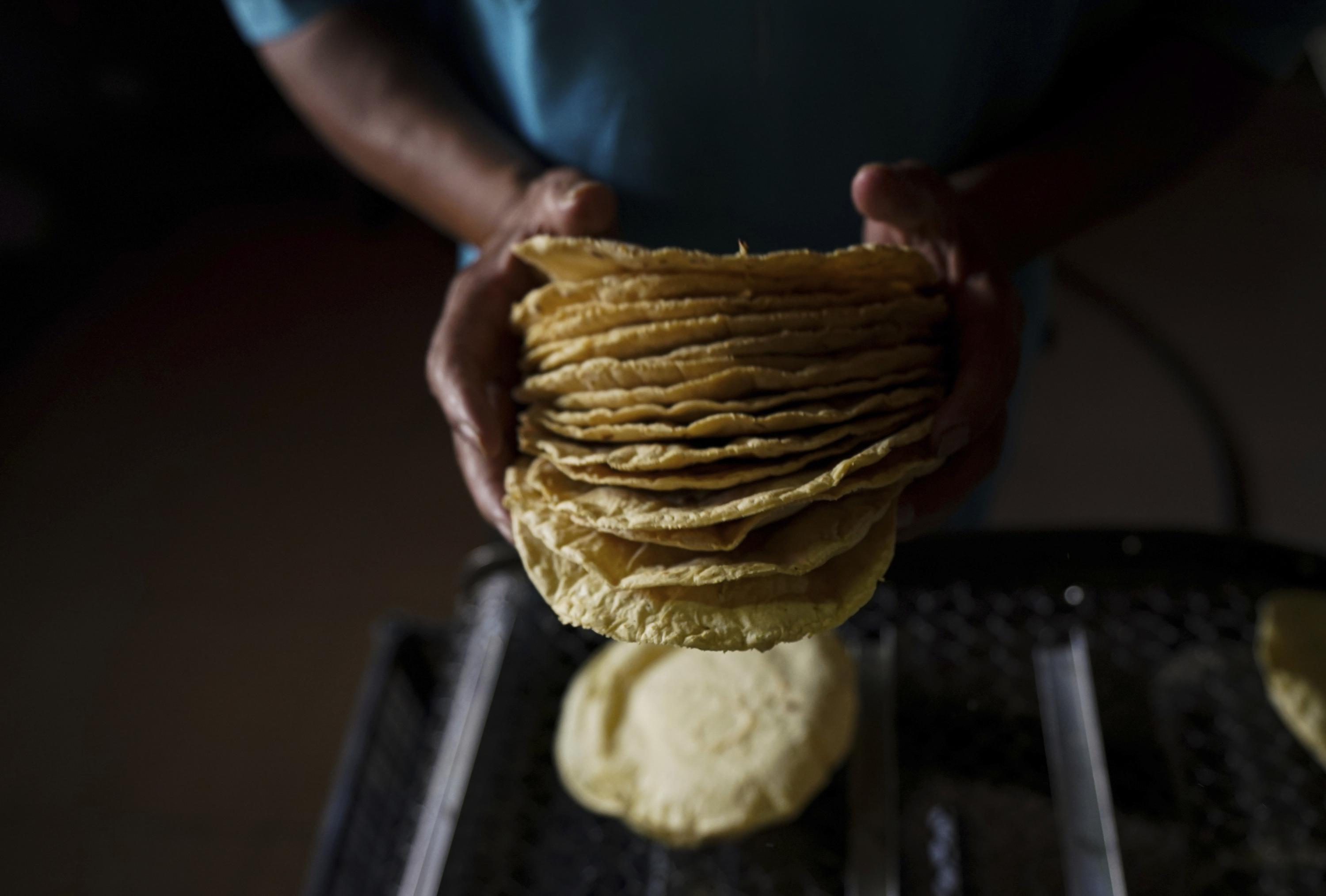 Démonstration vidéo presse tortilla 