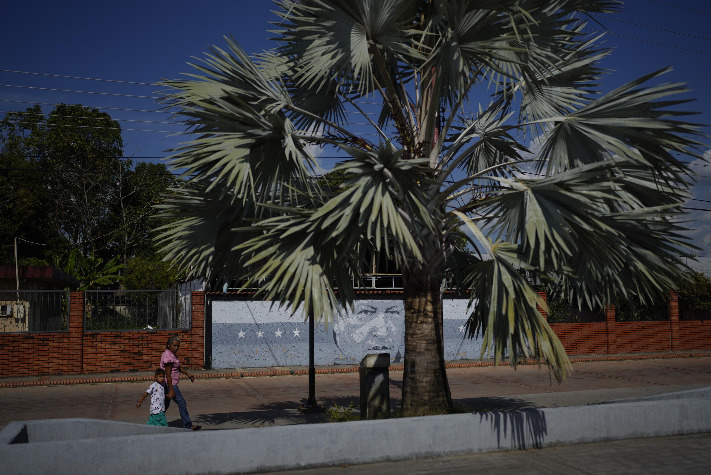 venezuelan trees