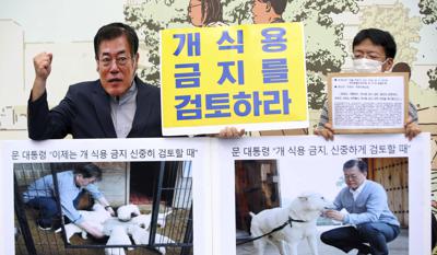 Un miembro de la Asociación Coreana para la Protección de los Animales, con una máscara con la cara del presidente de Corea del Sur, Moon Jae-in, participa en una protesta en contra del consumo de carne de perro, algo tradicional en el país, en Seúl, Corea del Sur, el 28 de septiembre de 2021. (Kim Sun-ung/Newsis via AP)