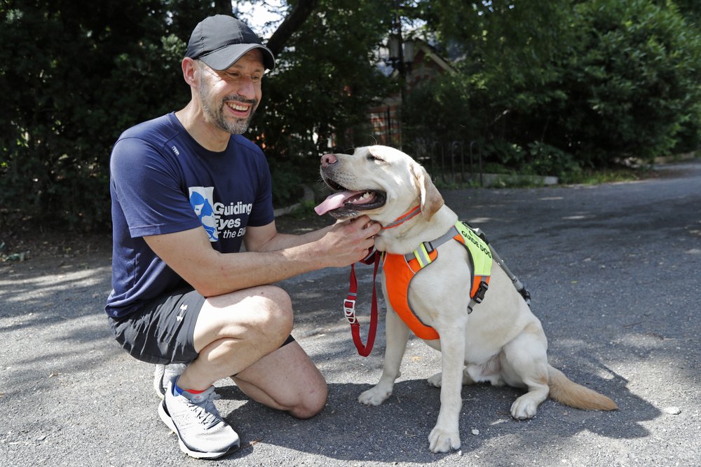 how do dogs help the blind