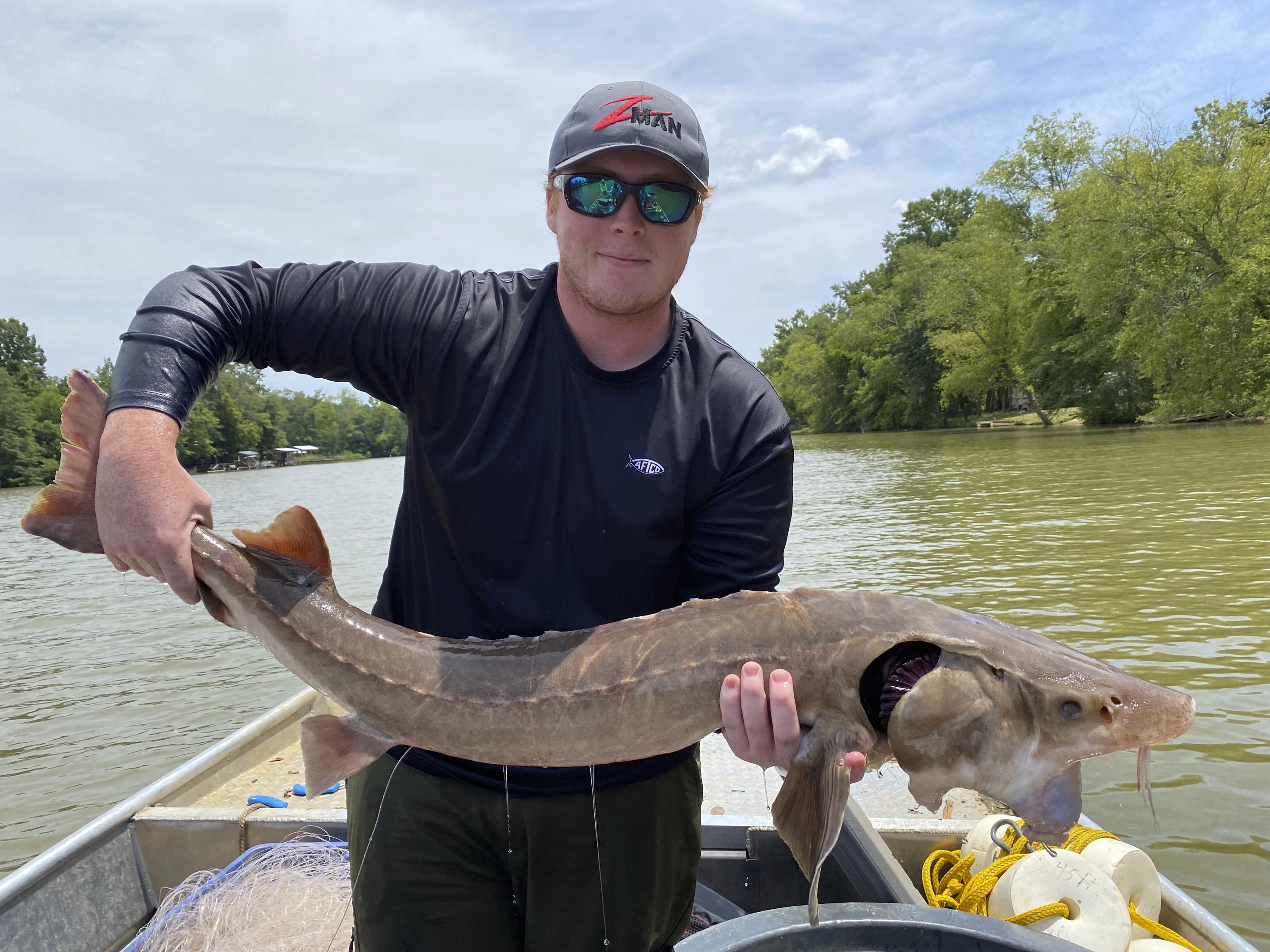 Prehistoric fish may spawn in Georgia: 1st time in 50 years