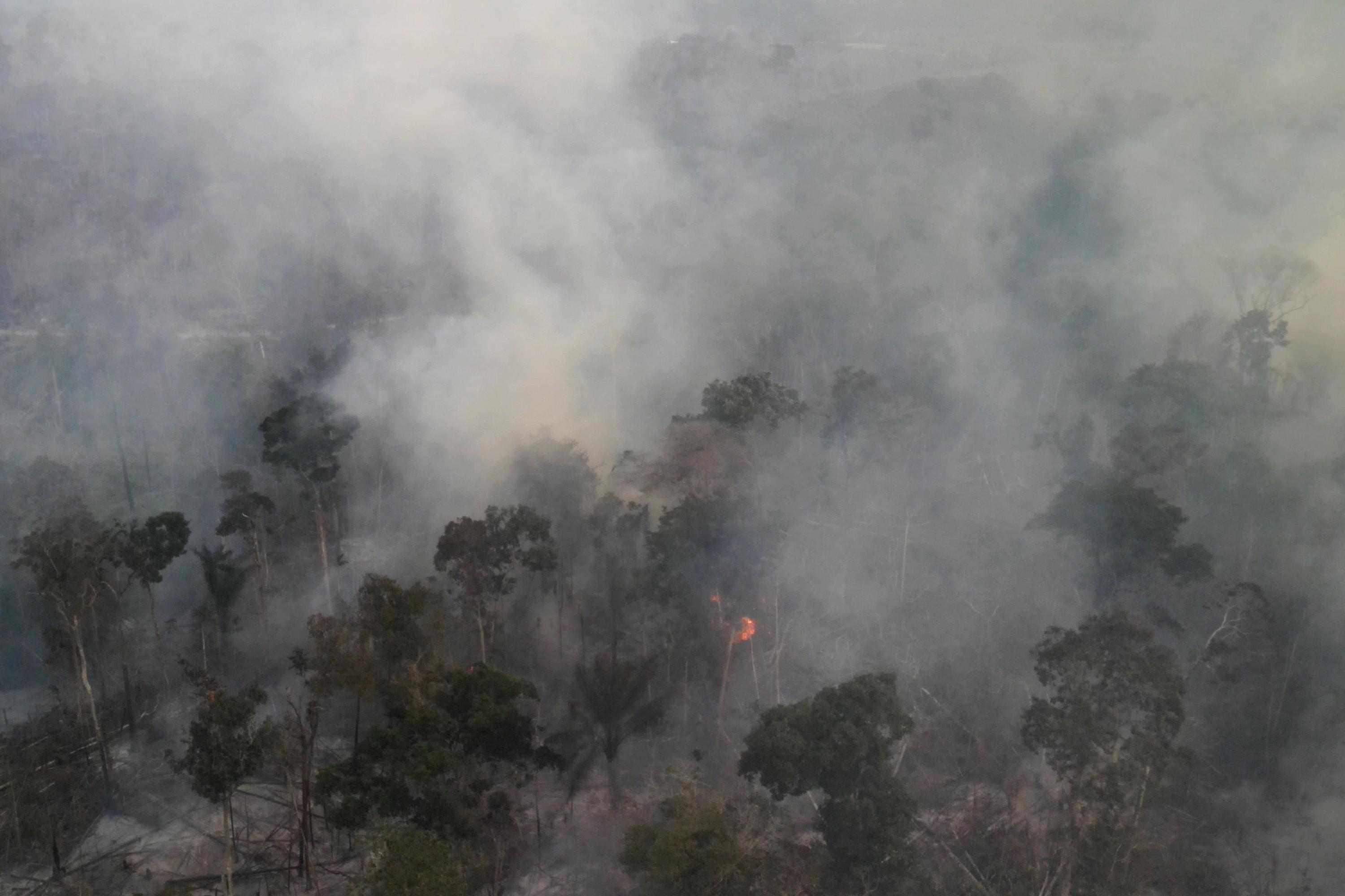 Incêndios na Amazônia brasileira atingem máxima de cinco anos em agosto