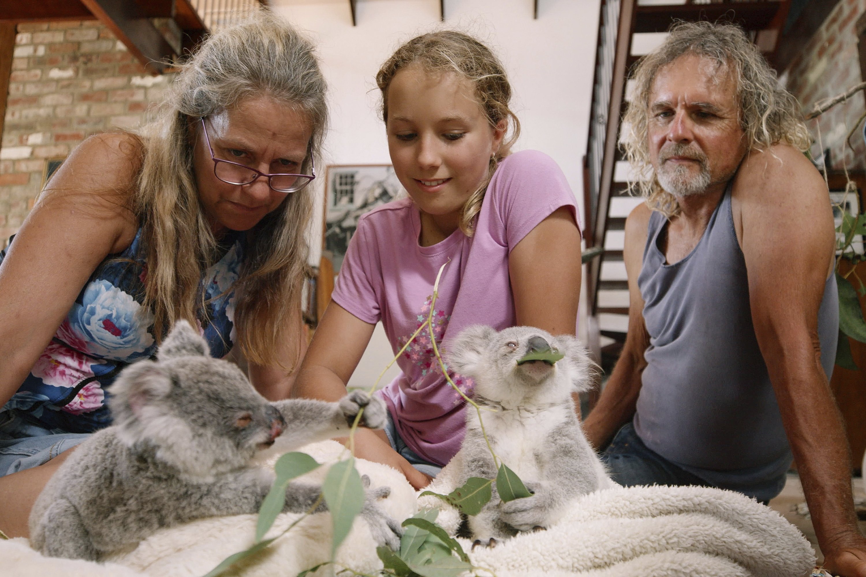New Netflix series features an 11-year-old 'koala whisperer' | AP News