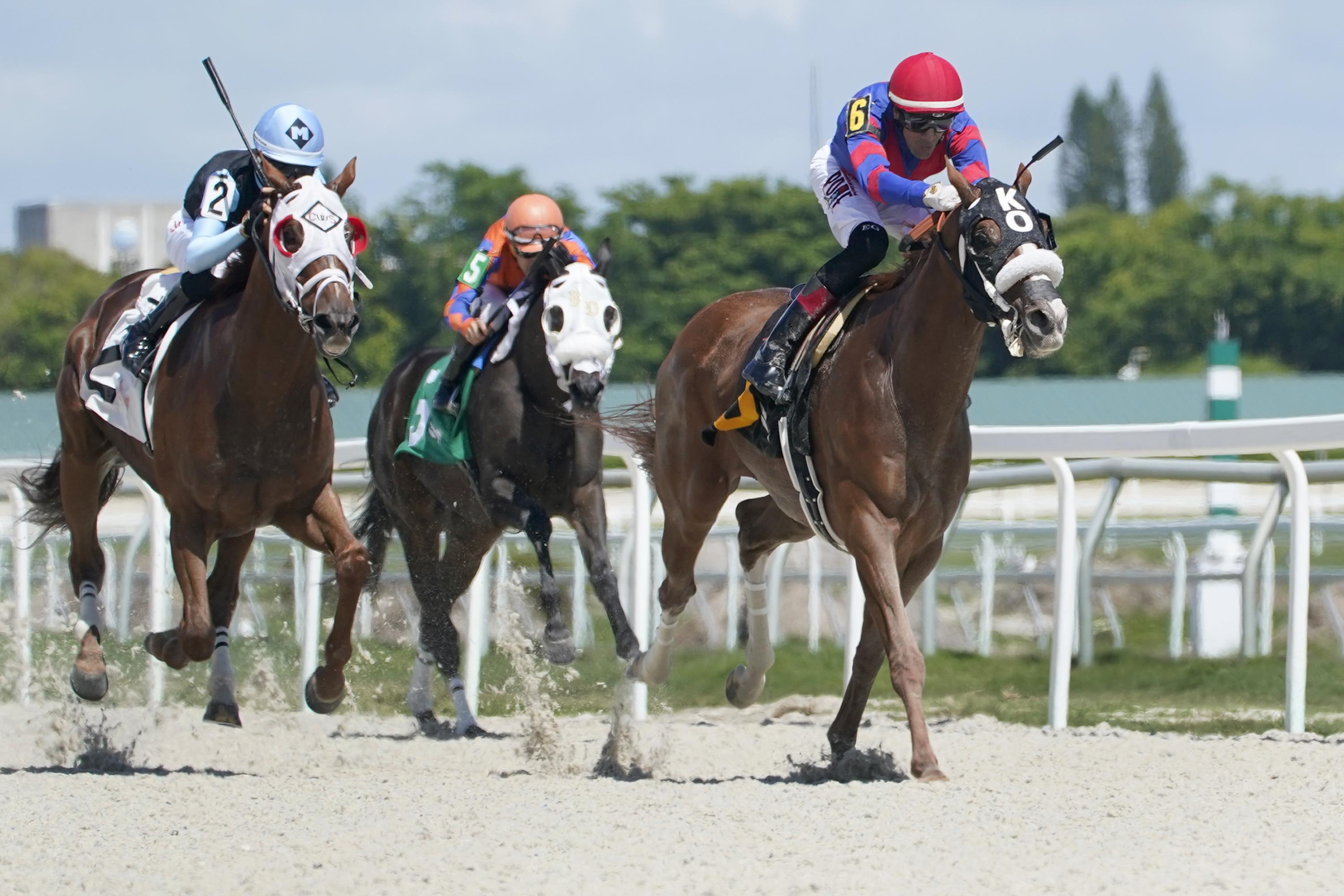 Gulfstream Park Horse Race Results - 04gcp01