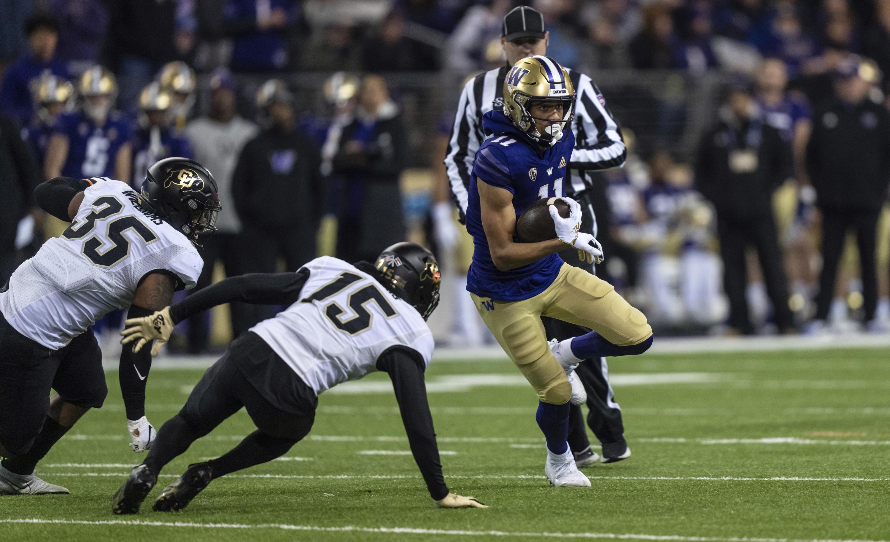 virginia-transfer-taulapapa-leads-no-15-huskies-over-buffs-ap-news
