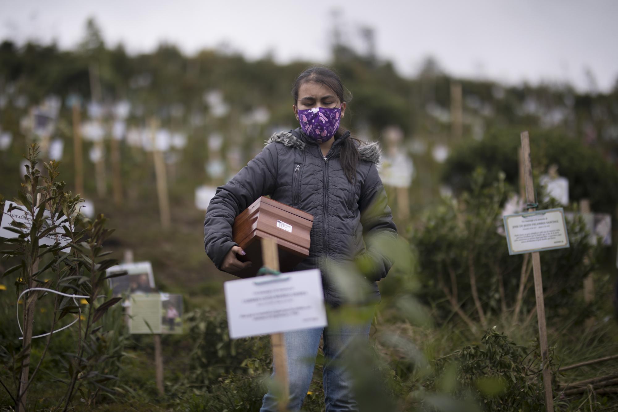 Plantan árboles con cenizas de víctimas de COVID en Colombia | AP News