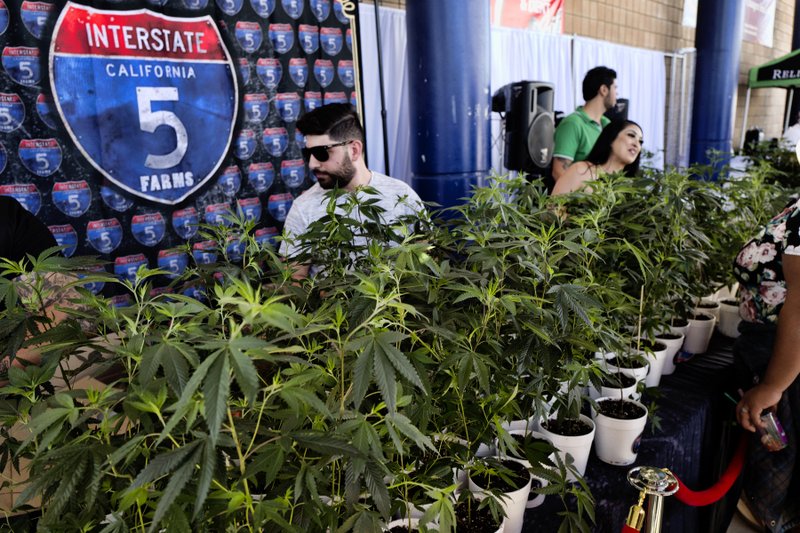 California Sales Tax Los Angeles >> California Pot Taxes Tick Up But Miss Initial Projections California Sales Tax Los Angeles >> California Pot Taxes Tick Up But Miss Initial Projections