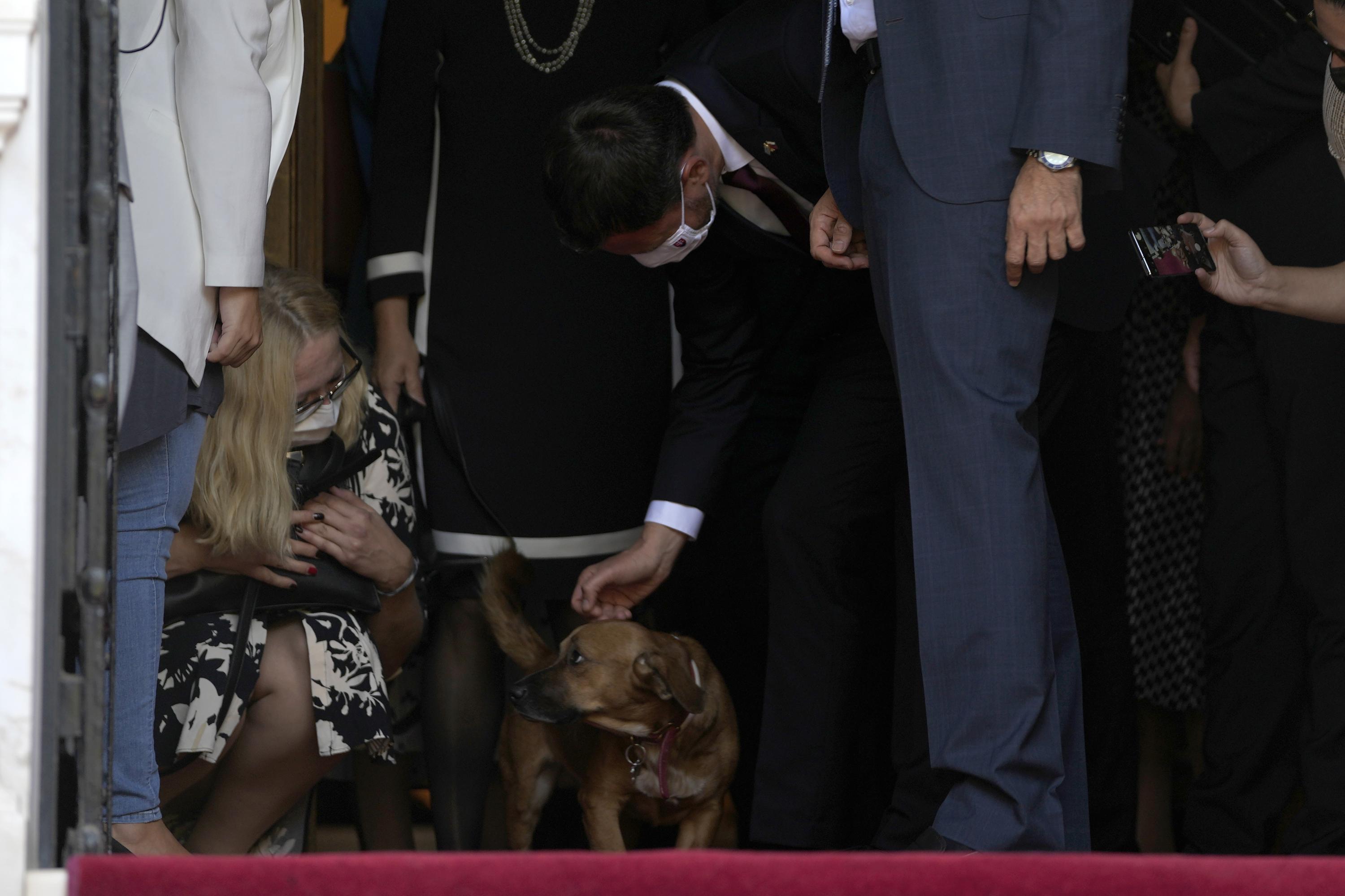 Photo of Domáce zviera gréckeho lídra prerušuje tlačovú konferenciu