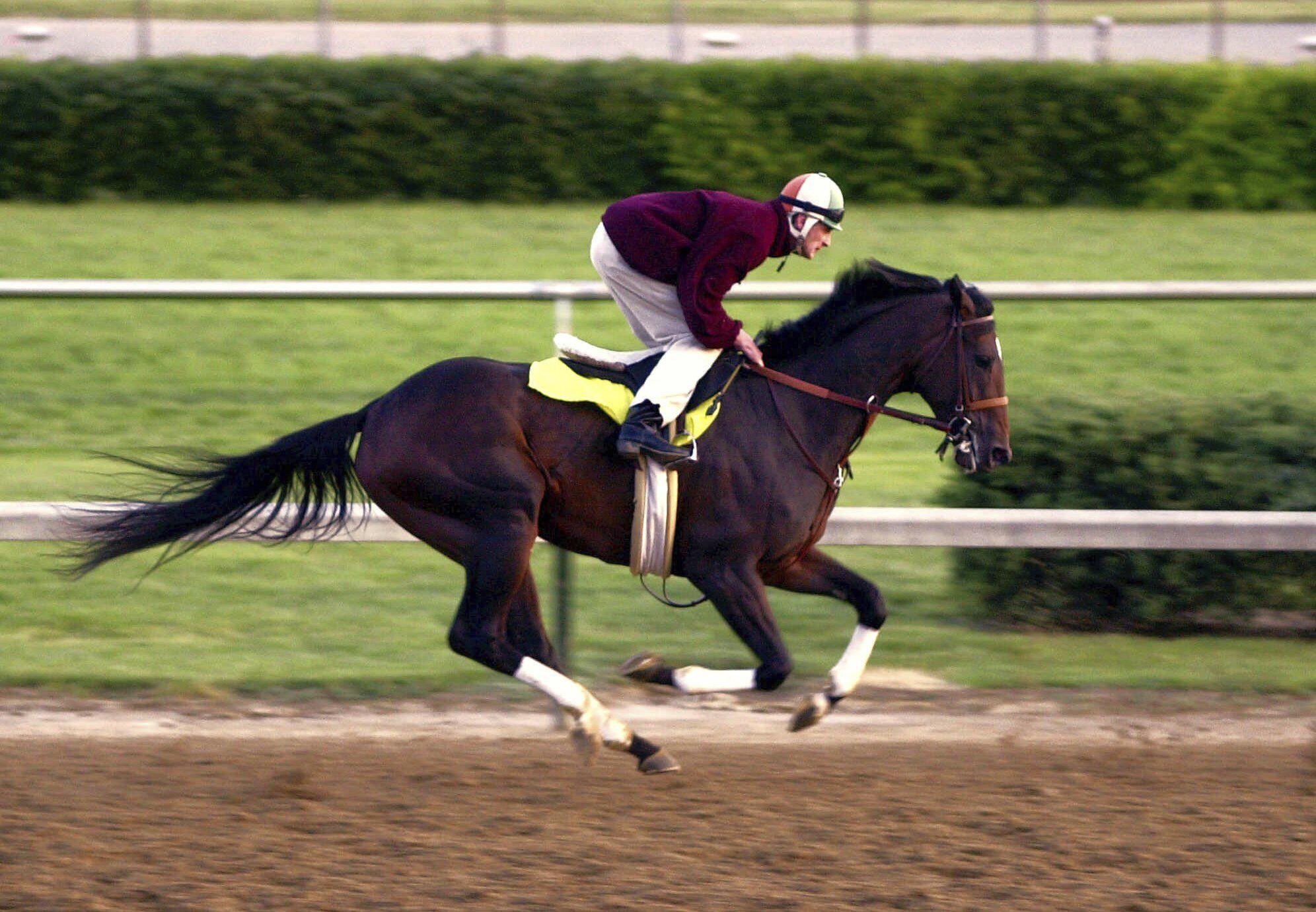 Fusaichi Pegasus, 2000 Kentucky Derby winner, dies at 26 AP News