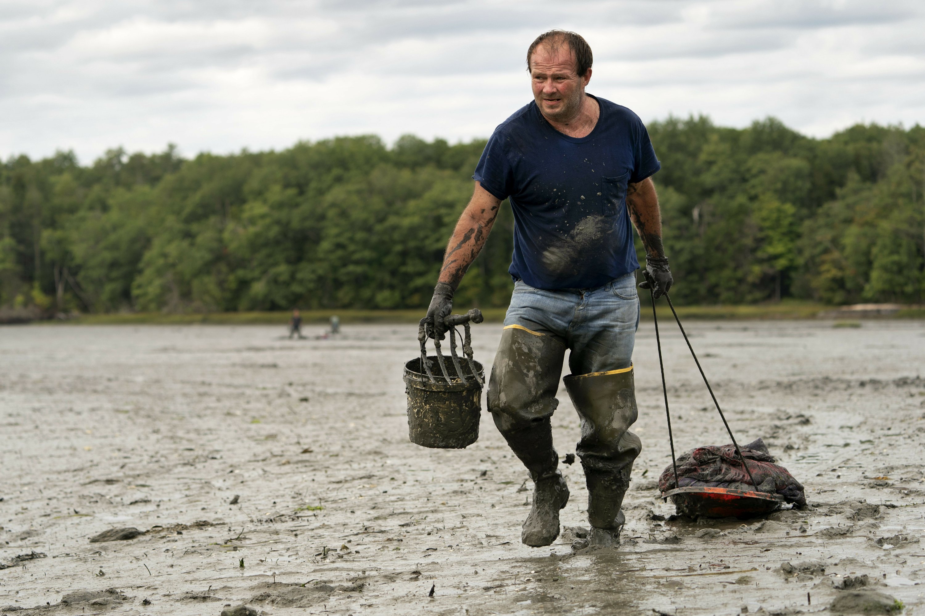 Clammers dig through pandemic, but shellfish are less