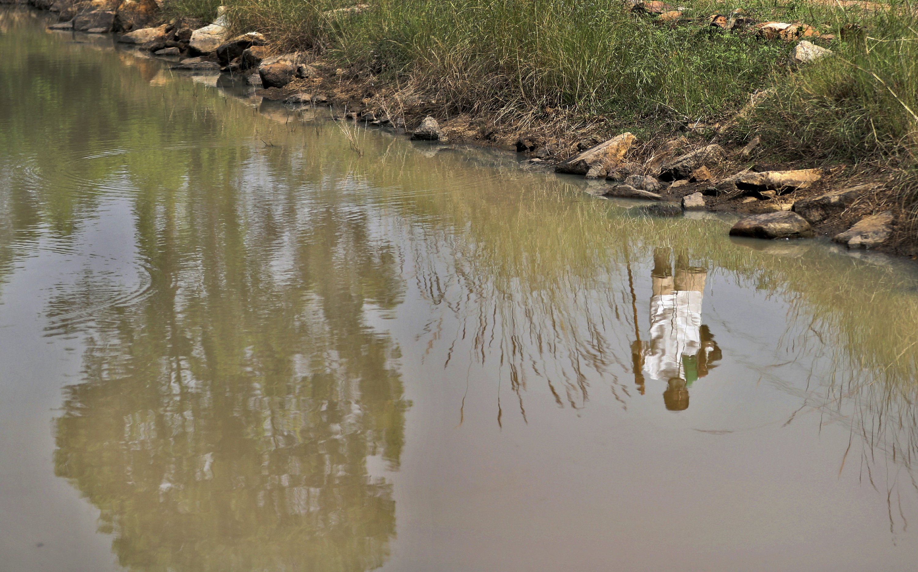 The Indian shepherd fights the water deficit by building ponds